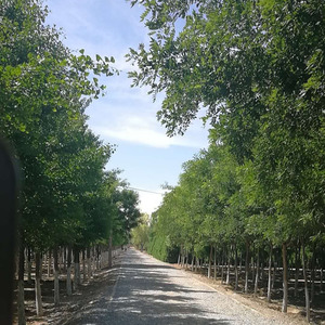 周志勇资料,周志勇最新歌曲,周志勇MV视频,周志勇音乐专辑,周志勇好听的歌