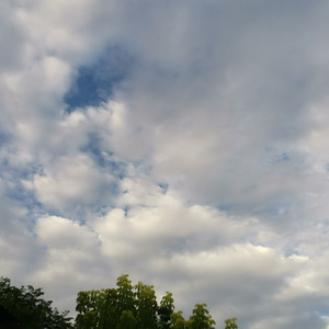 天涯资料,天涯最新歌曲,天涯MV视频,天涯音乐专辑,天涯好听的歌