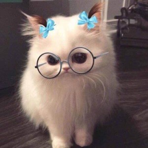 Sita.资料,Sita.最新歌曲,Sita.MV视频,Sita.音乐专辑,Sita.好听的歌