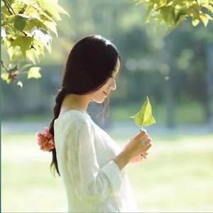 黄梅戏《与我的好鸣凤相伴终生》