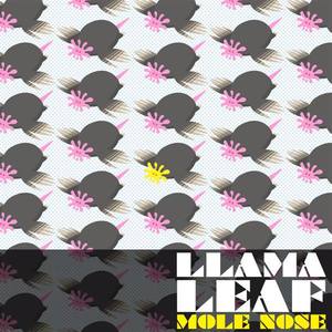 Llamaleaf资料,Llamaleaf最新歌曲,LlamaleafMV视频,Llamaleaf音乐专辑,Llamaleaf好听的歌