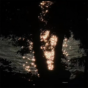 柏林的雨资料,柏林的雨最新歌曲,柏林的雨MV视频,柏林的雨音乐专辑,柏林的雨好听的歌