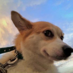 vincken资料,vincken最新歌曲,vinckenMV视频,vincken音乐专辑,vincken好听的歌