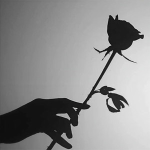 做自己的信徒资料,做自己的信徒最新歌曲,做自己的信徒MV视频,做自己的信徒音乐专辑,做自己的信徒好听的歌