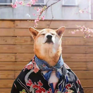 HDIK资料,HDIK最新歌曲,HDIKMV视频,HDIK音乐专辑,HDIK好听的歌