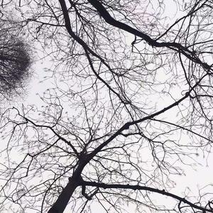 相大雷资料,相大雷最新歌曲,相大雷MV视频,相大雷音乐专辑,相大雷好听的歌