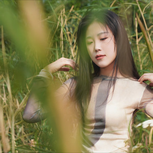 走马