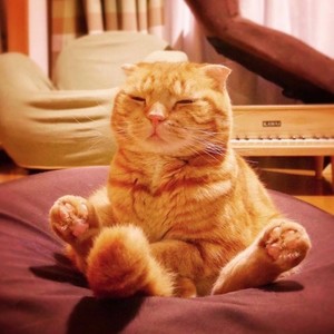 山里有首小情歌