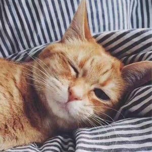 庄毕漫资料,庄毕漫最新歌曲,庄毕漫MV视频,庄毕漫音乐专辑,庄毕漫好听的歌