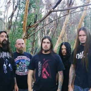 Disgorge