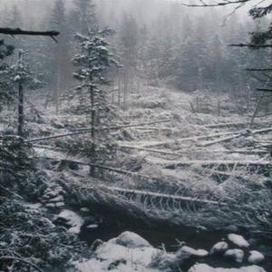 Toska资料,Toska最新歌曲,ToskaMV视频,Toska音乐专辑,Toska好听的歌