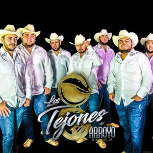 Los Tejones Del Arroyo