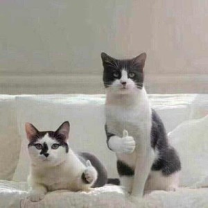 文文资料,文文最新歌曲,文文MV视频,文文音乐专辑,文文好听的歌