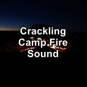 Fire Sounds资料,Fire Sounds最新歌曲,Fire SoundsMV视频,Fire Sounds音乐专辑,Fire Sounds好听的歌