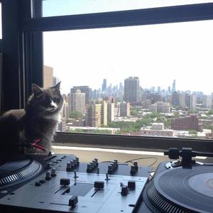 埃文PhunkyFeel资料,埃文PhunkyFeel最新歌曲,埃文PhunkyFeelMV视频,埃文PhunkyFeel音乐专辑,埃文PhunkyFeel好听的歌