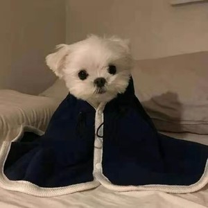 HY资料,HY最新歌曲,HYMV视频,HY音乐专辑,HY好听的歌