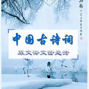 橙子的幸福说资料,橙子的幸福说最新歌曲,橙子的幸福说MV视频,橙子的幸福说音乐专辑,橙子的幸福说好听的歌