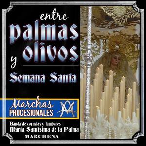 Banda de Cornetas y Tambores "María Santísima de la Palma"