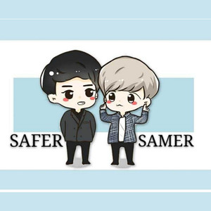 SAFER