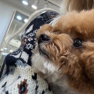 tiziiz资料,tiziiz最新歌曲,tiziizMV视频,tiziiz音乐专辑,tiziiz好听的歌