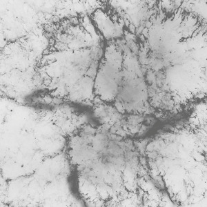 鱼肆儿资料,鱼肆儿最新歌曲,鱼肆儿MV视频,鱼肆儿音乐专辑,鱼肆儿好听的歌