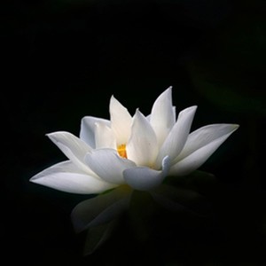 无谓