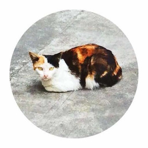 Witness资料,Witness最新歌曲,WitnessMV视频,Witness音乐专辑,Witness好听的歌