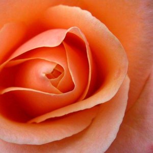 什么样的人会有好婚姻