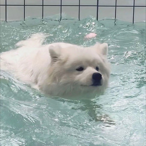 欣奕资料,欣奕最新歌曲,欣奕MV视频,欣奕音乐专辑,欣奕好听的歌