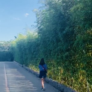 荔枝资料,荔枝最新歌曲,荔枝MV视频,荔枝音乐专辑,荔枝好听的歌