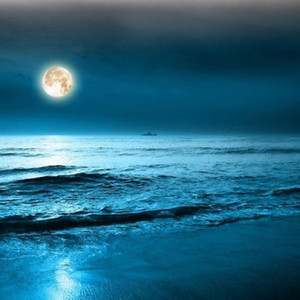 李秋白情感电台资料,李秋白情感电台最新歌曲,李秋白情感电台MV视频,李秋白情感电台音乐专辑,李秋白情感电台好听的歌