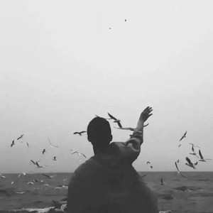 风飘过云海了吗