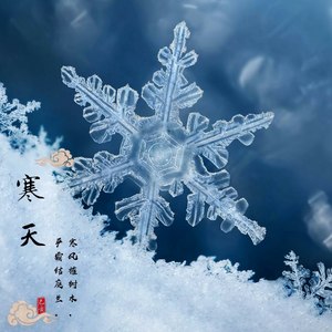 我是你的格桑花