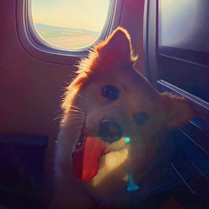 yi见你资料,yi见你最新歌曲,yi见你MV视频,yi见你音乐专辑,yi见你好听的歌