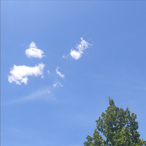 潜音者资料,潜音者最新歌曲,潜音者MV视频,潜音者音乐专辑,潜音者好听的歌