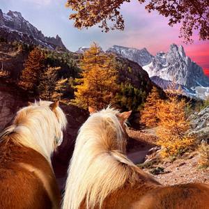 Part Company资料,Part Company最新歌曲,Part CompanyMV视频,Part Company音乐专辑,Part Company好听的歌