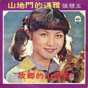 张慧玉资料,张慧玉最新歌曲,张慧玉MV视频,张慧玉音乐专辑,张慧玉好听的歌