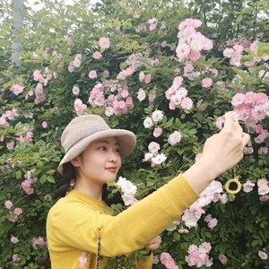 带泪的鹅资料,带泪的鹅最新歌曲,带泪的鹅MV视频,带泪的鹅音乐专辑,带泪的鹅好听的歌