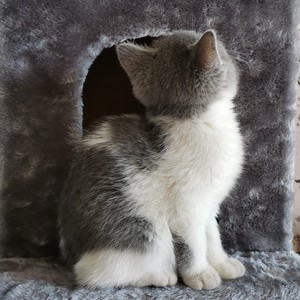 云知道资料,云知道最新歌曲,云知道MV视频,云知道音乐专辑,云知道好听的歌