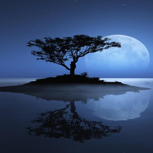 Sleep Sounds of Nature资料,Sleep Sounds of Nature最新歌曲,Sleep Sounds of NatureMV视频,Sleep Sounds of Nature音乐专辑,Sleep Sounds of Nature好听的歌