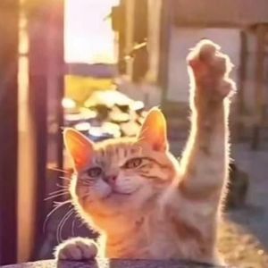 白鹭先生资料,白鹭先生最新歌曲,白鹭先生MV视频,白鹭先生音乐专辑,白鹭先生好听的歌