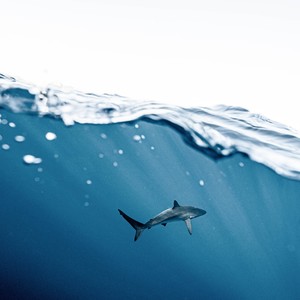 陈波资料,陈波最新歌曲,陈波MV视频,陈波音乐专辑,陈波好听的歌