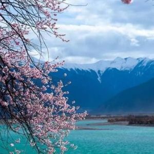 姚超资料,姚超最新歌曲,姚超MV视频,姚超音乐专辑,姚超好听的歌