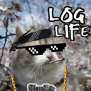 LOG资料,LOG最新歌曲,LOGMV视频,LOG音乐专辑,LOG好听的歌