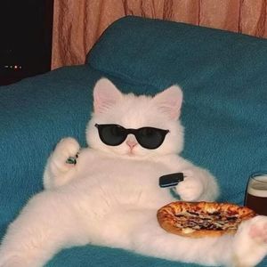 YOKI资料,YOKI最新歌曲,YOKIMV视频,YOKI音乐专辑,YOKI好听的歌