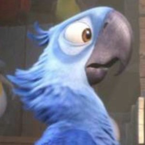 永远的蓝鹦鹉资料,永远的蓝鹦鹉最新歌曲,永远的蓝鹦鹉MV视频,永远的蓝鹦鹉音乐专辑,永远的蓝鹦鹉好听的歌