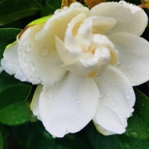 余一一资料,余一一最新歌曲,余一一MV视频,余一一音乐专辑,余一一好听的歌