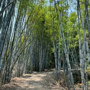 知我者谓我嗯资料,知我者谓我嗯最新歌曲,知我者谓我嗯MV视频,知我者谓我嗯音乐专辑,知我者谓我嗯好听的歌