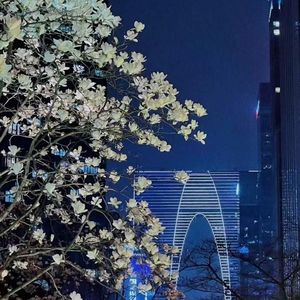 王瑞雪fr资料,王瑞雪fr最新歌曲,王瑞雪frMV视频,王瑞雪fr音乐专辑,王瑞雪fr好听的歌