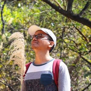 海风资料,海风最新歌曲,海风MV视频,海风音乐专辑,海风好听的歌